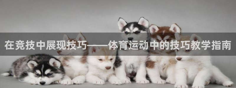 vsport体育在线官网