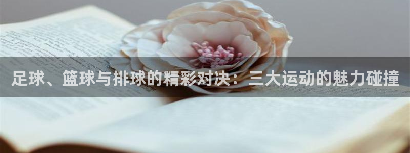 vsport体育在线官网
