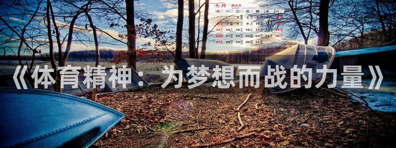 vsport体育在线官网