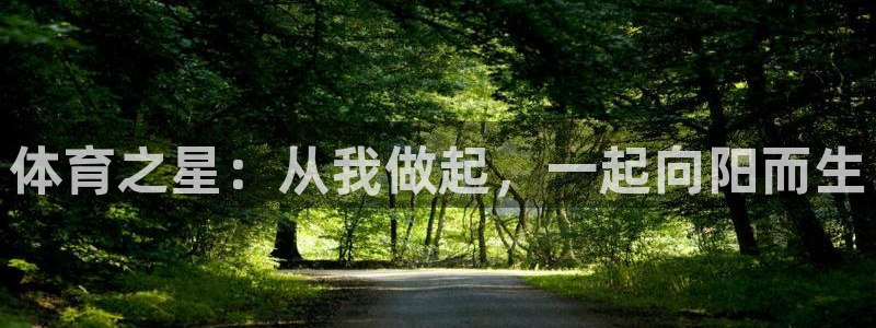 vsport体育在线官网
