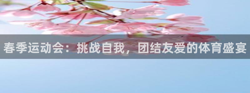 vsport体育在线官网：春季运动会：挑战自我，团结友爱的体育盛宴