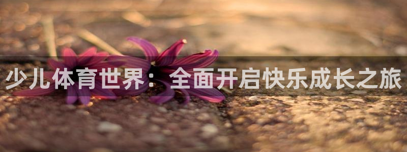 vsport体育在线官网