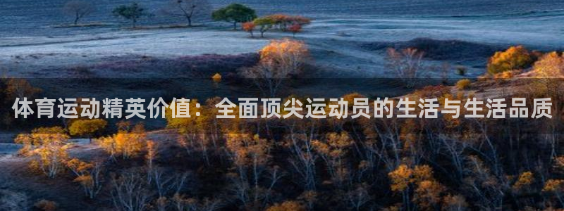 vsport体育在线官网