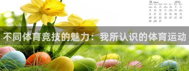 vsport体育在线官网：不同体育竞技的魅力：我所认识的体育运动