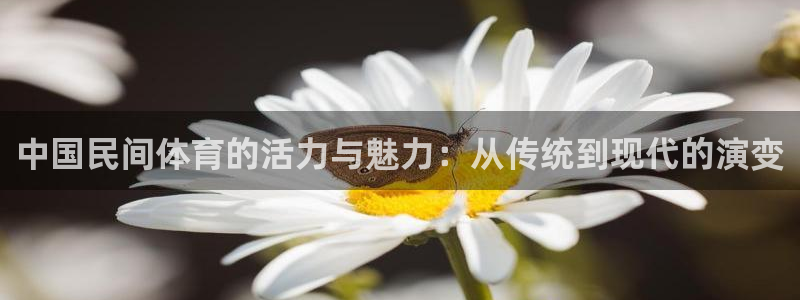 vsport体育在线官网：中国民间体育的活力与魅力：从传统到现代的演变