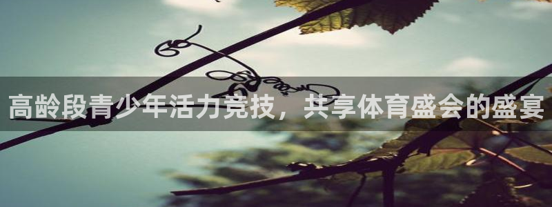 vsport体育：高龄段青少年活力竞技，共享体育盛会的盛宴