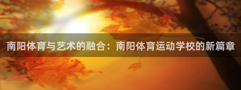 vsport体育在线官网：南阳体育与艺术的融合：南阳体育运动学校的新篇章