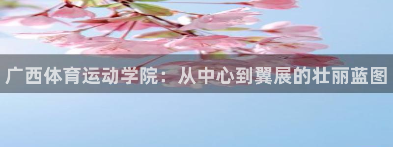 vsport体育在线官网：广西体育运动学院：从中心到翼展的壮丽蓝图