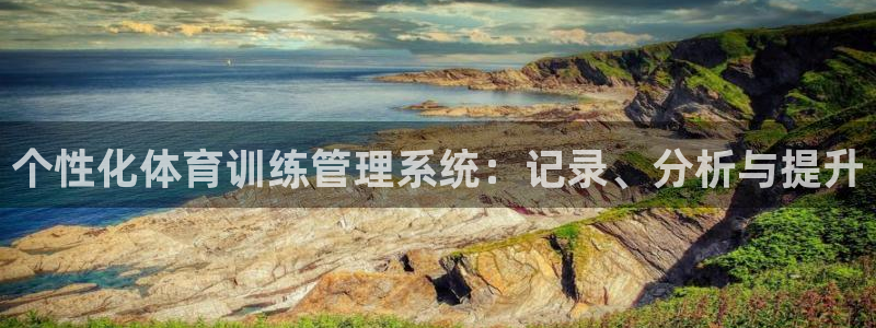 vsport体育：个性化体育训练管理系统：记录、分析与提升