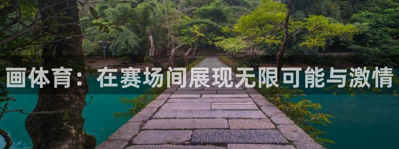 vsport体育在线官网：画体育：在赛场间展现无限可能与激情