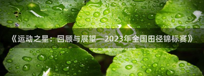 vsport体育：《运动之星：回顾与展望—2023年全国田径锦标赛》